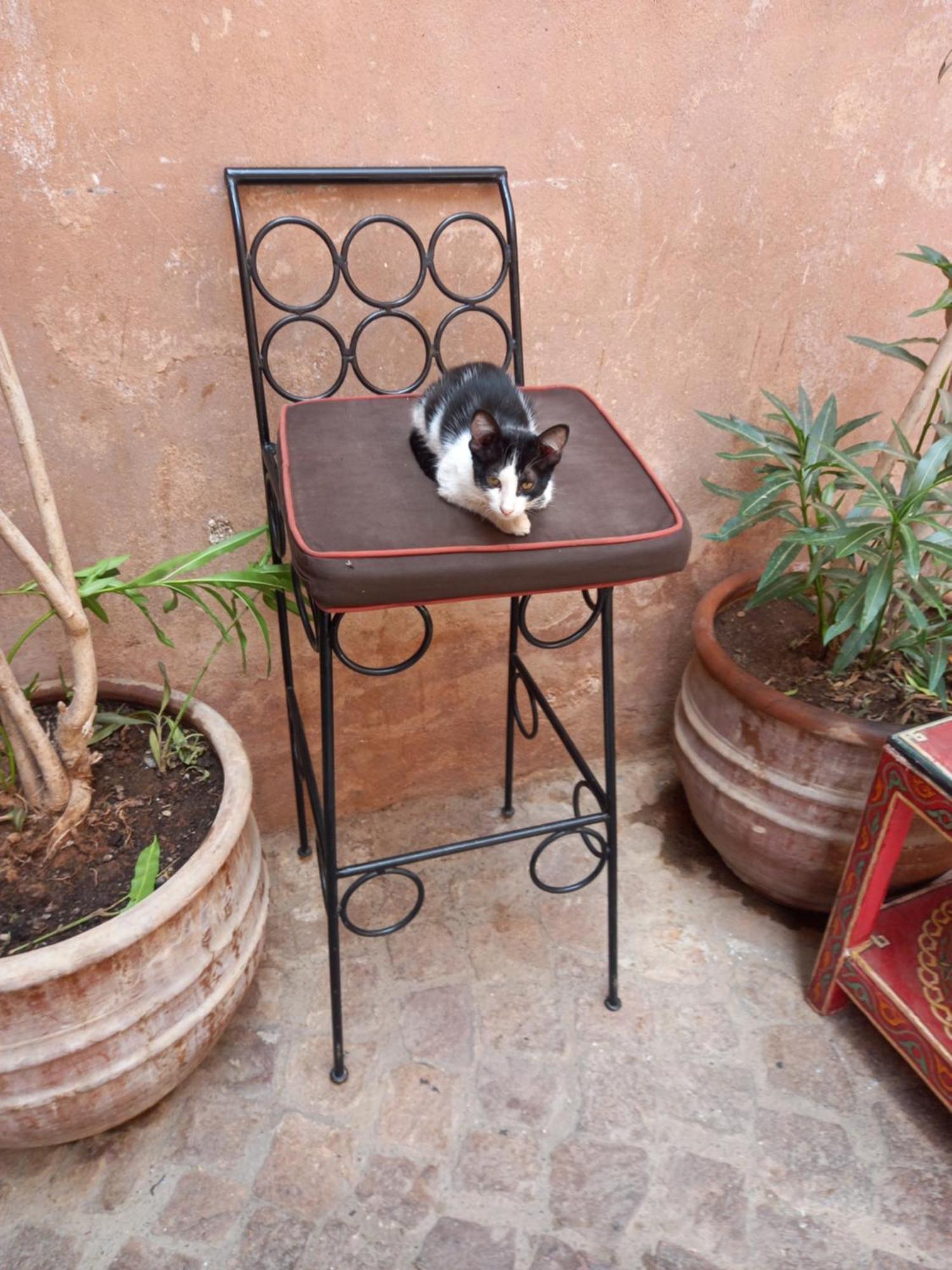 Juli'S Bed & Breakfast Marrakesh Eksteriør bilde